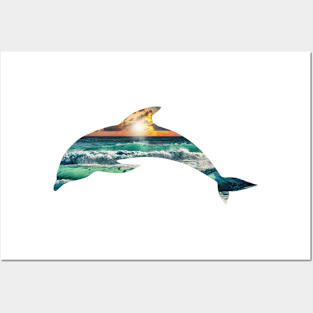 Dolphin Beach Posters and Art